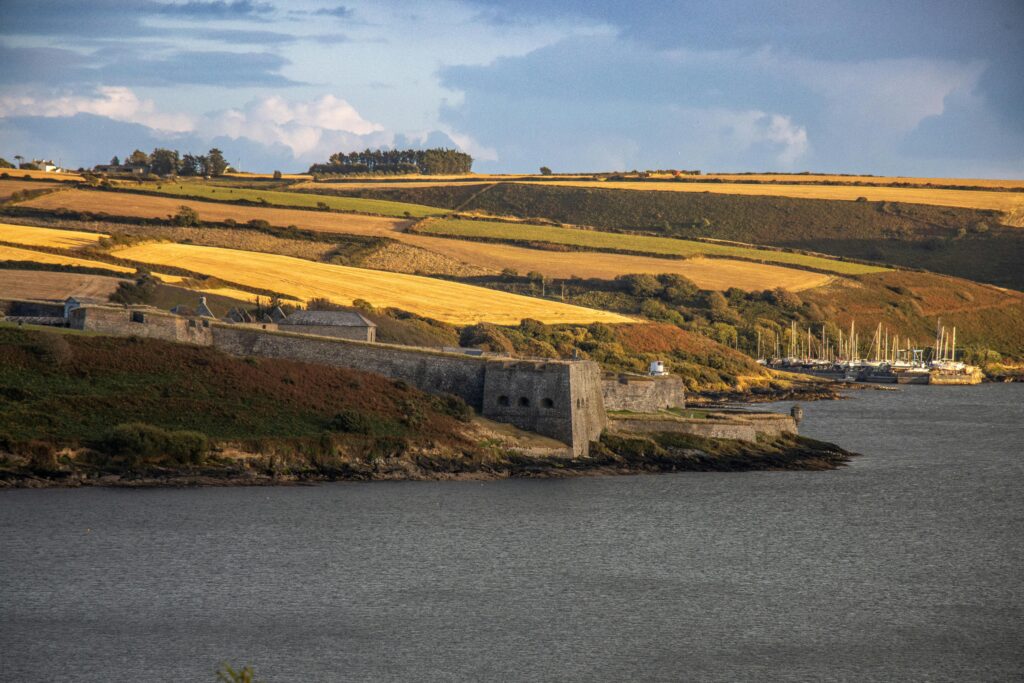 pexels-philevenphotos-28673272