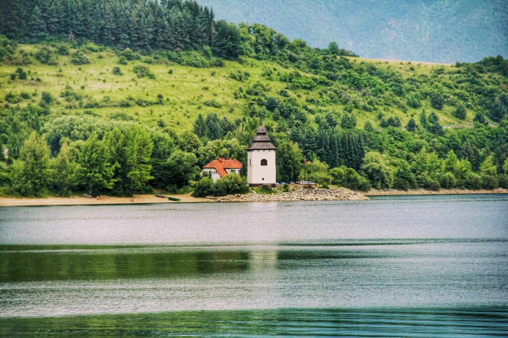 pexels-dominikagregus-1253582