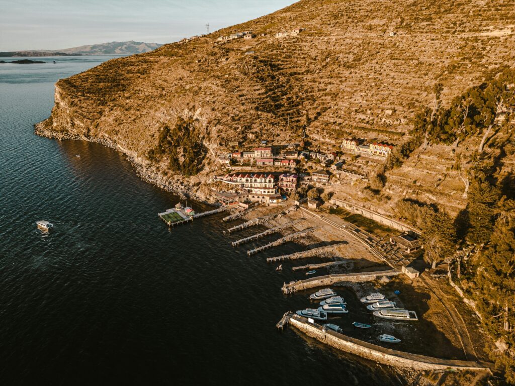 pexels-gabrieluizramos-17895232