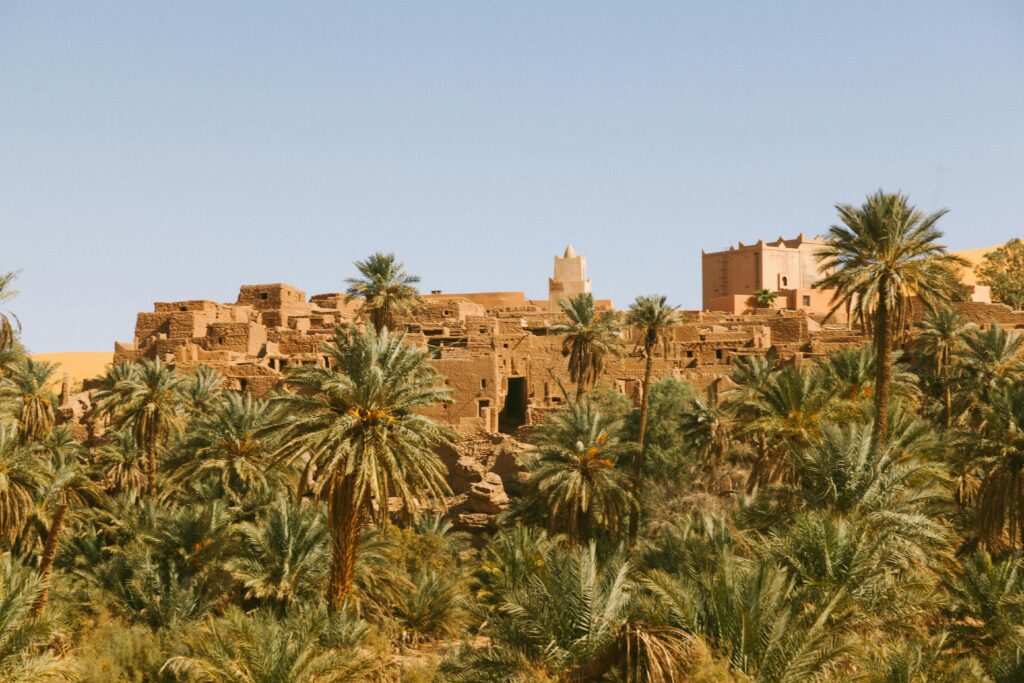pexels-hosni-hannoun-1435241-2774966