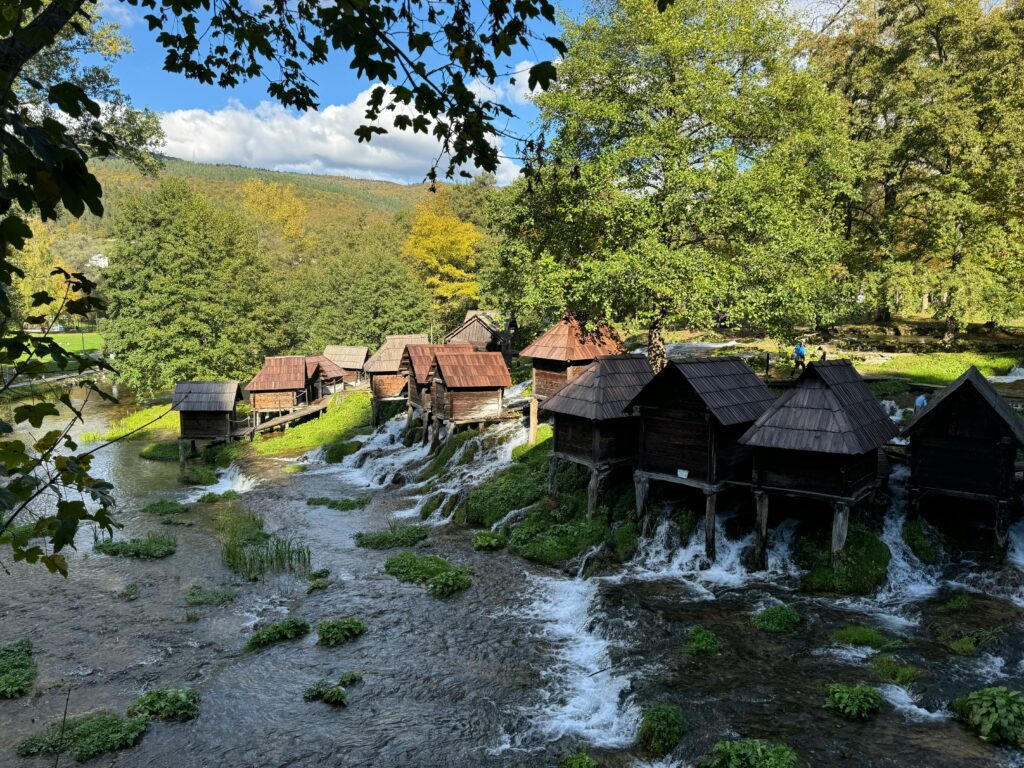 pexels-lejla-hatipovic-1259708826-32866384