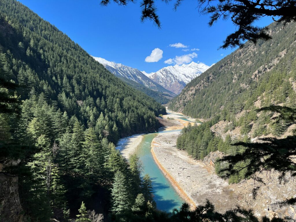 pexels-ravindra-nadkarni-116750390-29505269