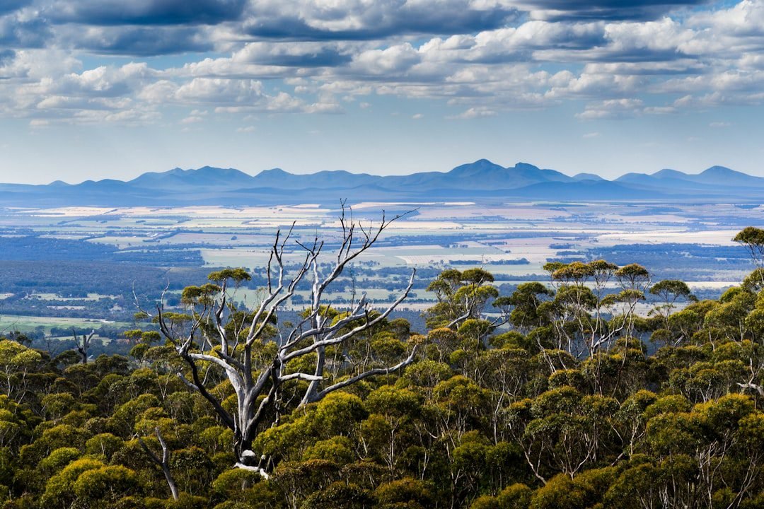 Flinders Ranges, Australia (Wilpena Pound) - tangyOcean