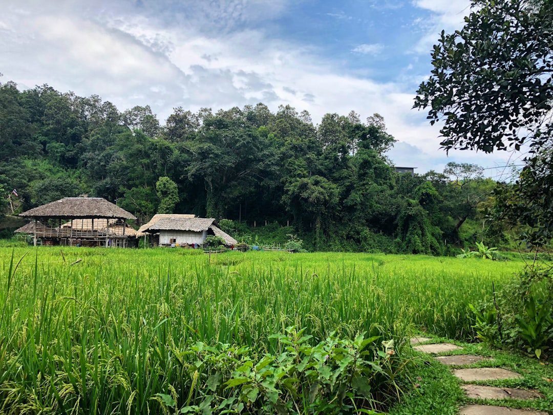 Mae Rim, Thailand's Amazing Waterfalls, Hill Tribes & Mountain Serenity ...
